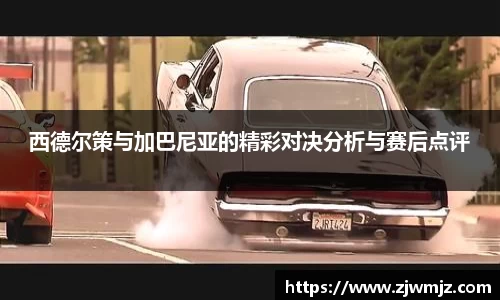 西德尔策与加巴尼亚的精彩对决分析与赛后点评